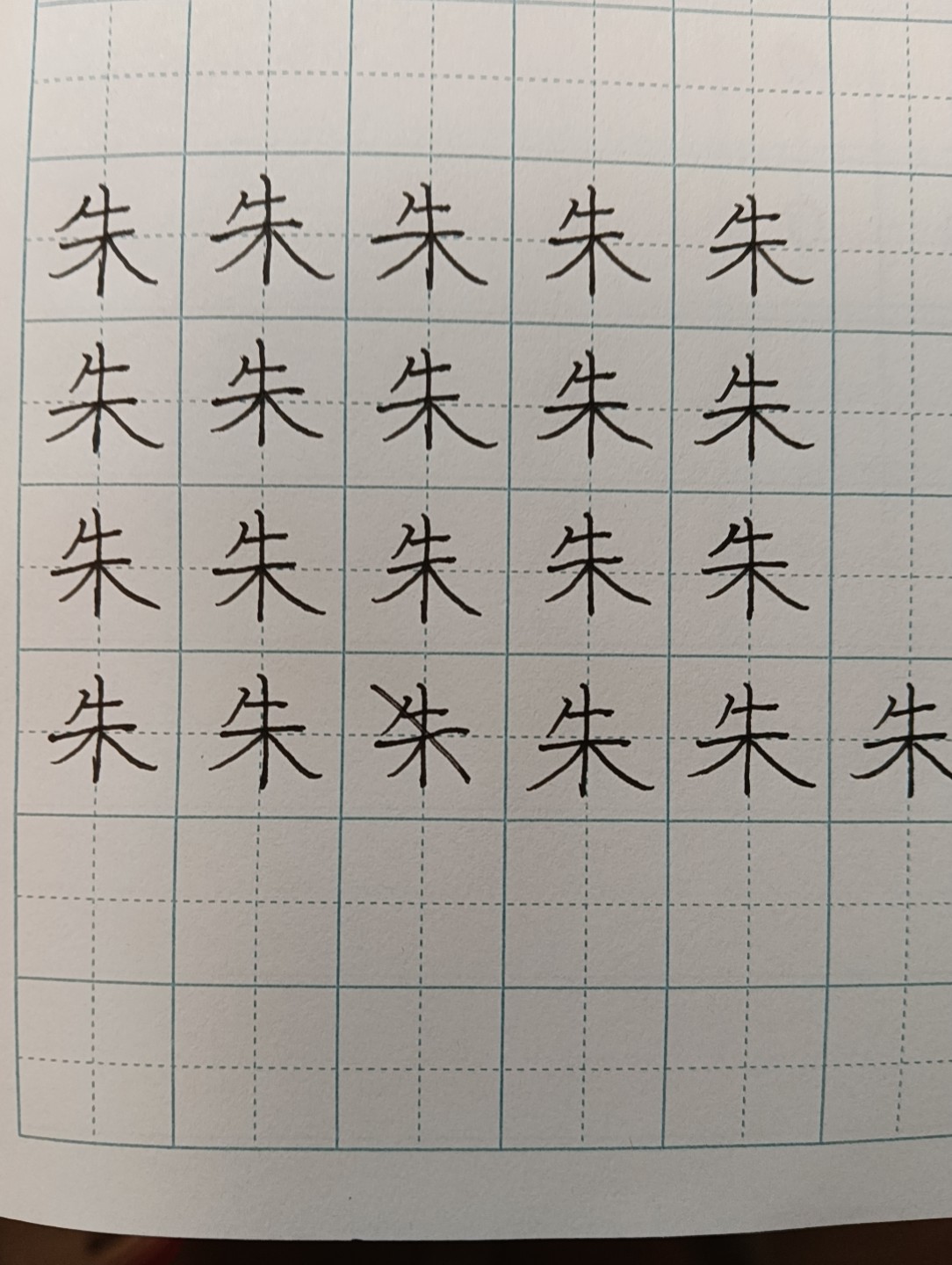 龟小兔写字优秀作品展示：蔡承轩/五年级/练字1天