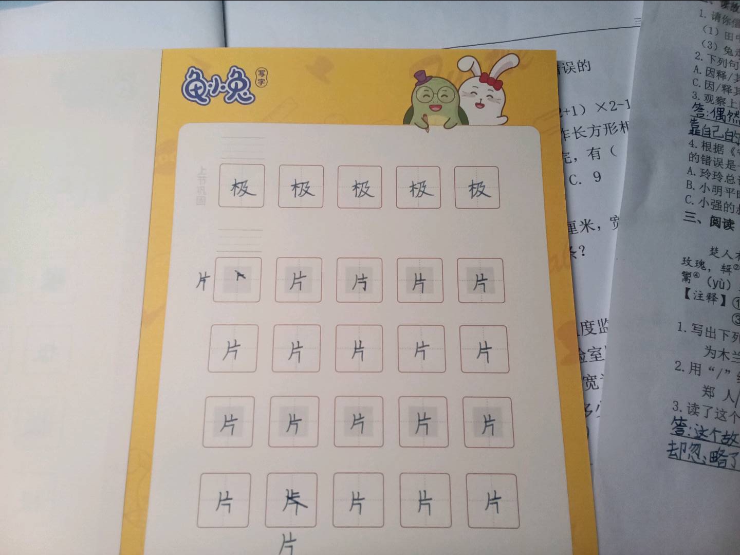 龟小兔写字优秀作品展示：果果/二年级/练字1天